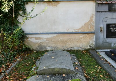 Žatec městský, Omnium, 2020