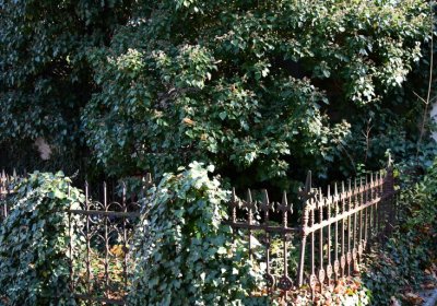 Žatec městský, Omnium, 2020