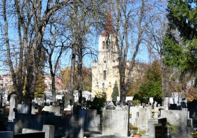 Žatec městský, Omnium, 2020