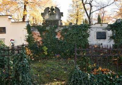 Žatec městský, Omnium, 2020