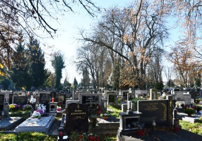 Žatec městský, Omnium, 2020