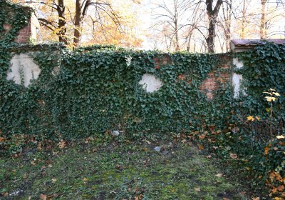 Žatec městský, Omnium, 2020