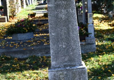 Žatec městský, Omnium, 2020