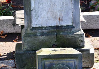 Žatec městský, Omnium, 2020