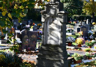 Žatec městský, Omnium, 2020