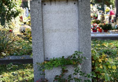 Žatec městský, Omnium, 2020