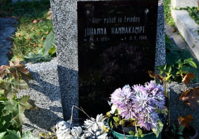 Žatec městský, Omnium, 2020