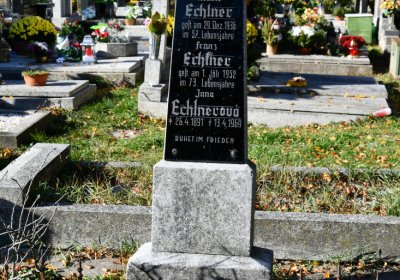 Žatec městský, Omnium, 2020