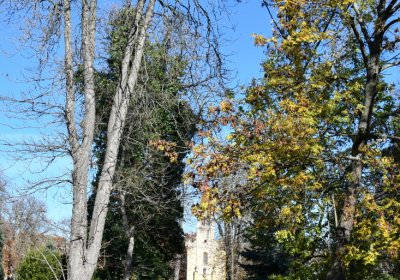 Žatec městský, Omnium, 2020