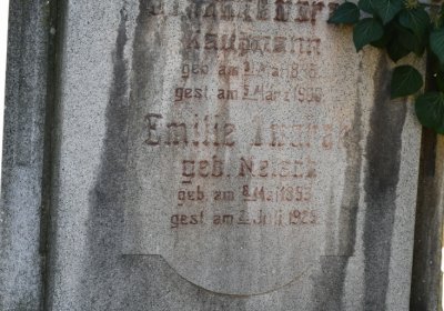 Žatec městský, Omnium, 2020