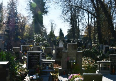 Žatec městský, Omnium, 2020