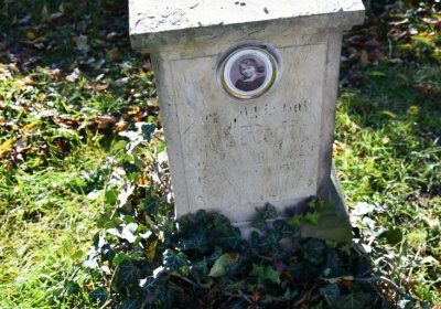 Žatec městský, Omnium, 2020