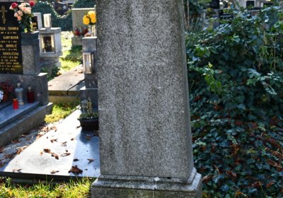 Žatec městský, Omnium, 2020