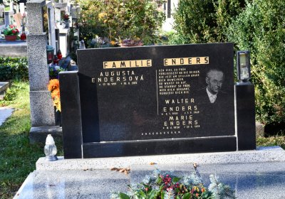 Žatec městský, Omnium, 2020