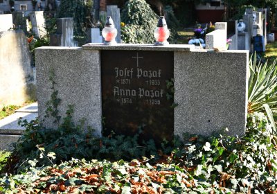 Žatec městský, Omnium, 2020