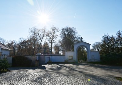 Žatec městský, Omnium, 2020