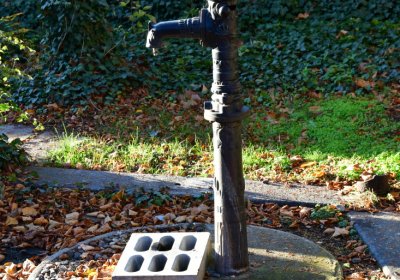 Žatec městský, Omnium, 2020