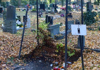 Žatec městský, Omnium, 2020