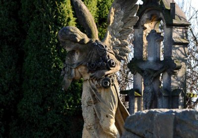 Šimůnek Tomáš, 2017