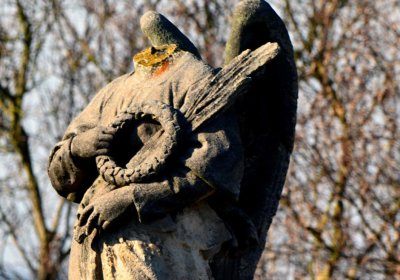 Šimůnek Tomáš, 2017