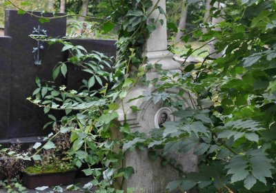 Marek Zdeněk, Větrovská Barbora, 2016