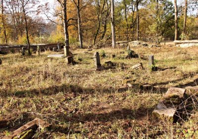 Schröpfer Libor, 2016