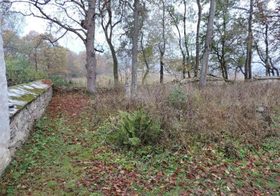 Schröpfer Libor, 2016