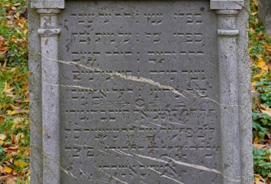 Židovský hřbitov Břeclav, Botos Nikolas, 2025