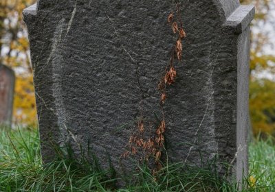 Židovský hřbitov Břeclav, Botos Nikolas, 2025