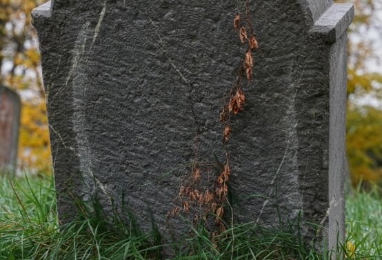 Židovský hřbitov Břeclav, Botos Nikolas, 2025