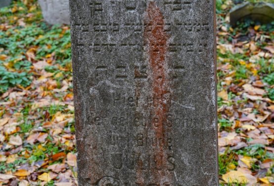 Židovský hřbitov Břeclav, Botos Nikolas, 2025