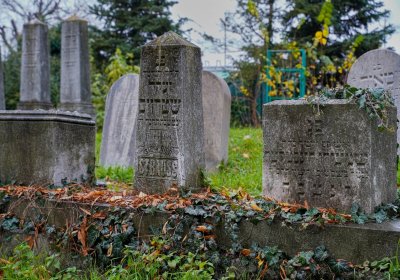 Židovský hřbitov Břeclav, Botos Nikolas, 2025