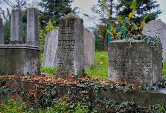 Židovský hřbitov Břeclav, Botos Nikolas, 2025