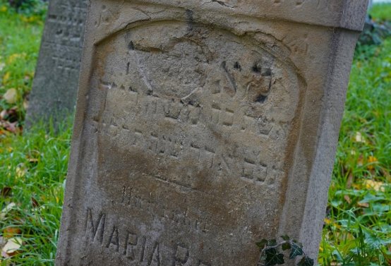 Židovský hřbitov Břeclav, Botos Nikolas, 2025