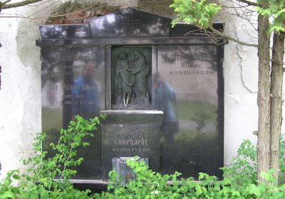 Pulkrtová Eva, 2008