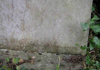 Pulkrtová Eva, 2008