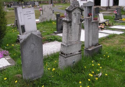 Pulkrtová Eva, 2008