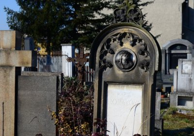 Botos Nikolas