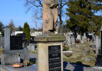 Botos Nikolas