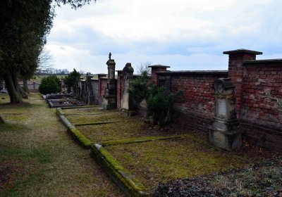 Šimůnek Tomáš, 2017