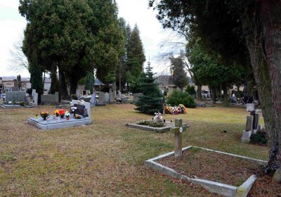 Šimůnek Tomáš, 2017