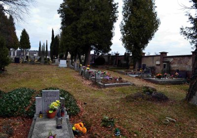 Šimůnek Tomáš, 2017