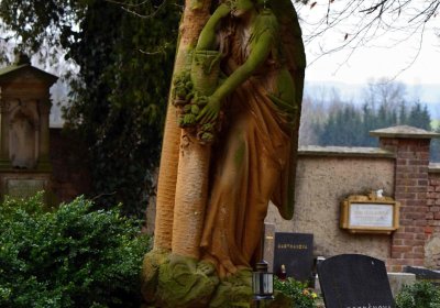 Šimůnek Tomáš, 2017