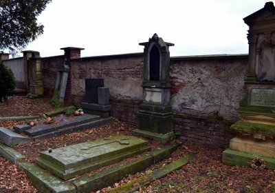 Šimůnek Tomáš, 2017