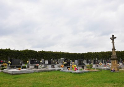 Omnium, 2017