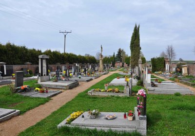 Tisová u Vysokého Mýta, Omnium, 2017