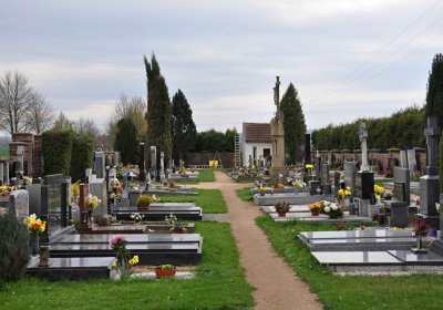 Tisová u Vysokého Mýta, Omnium, 2017