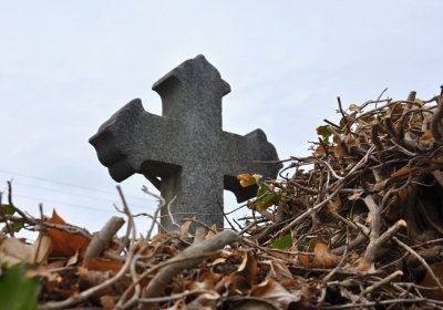 Tisová u Vysokého Mýta, Omnium, 2017