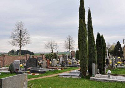 Tisová u Vysokého Mýta, Omnium, 2017