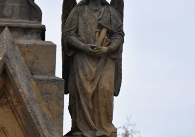 Tisová u Vysokého Mýta, Omnium, 2017